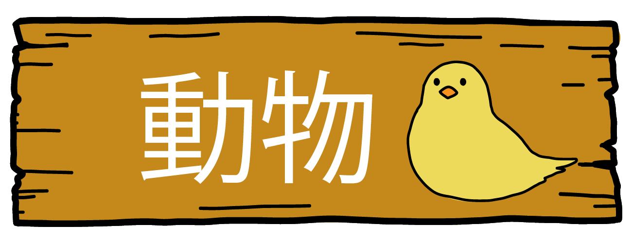 動物