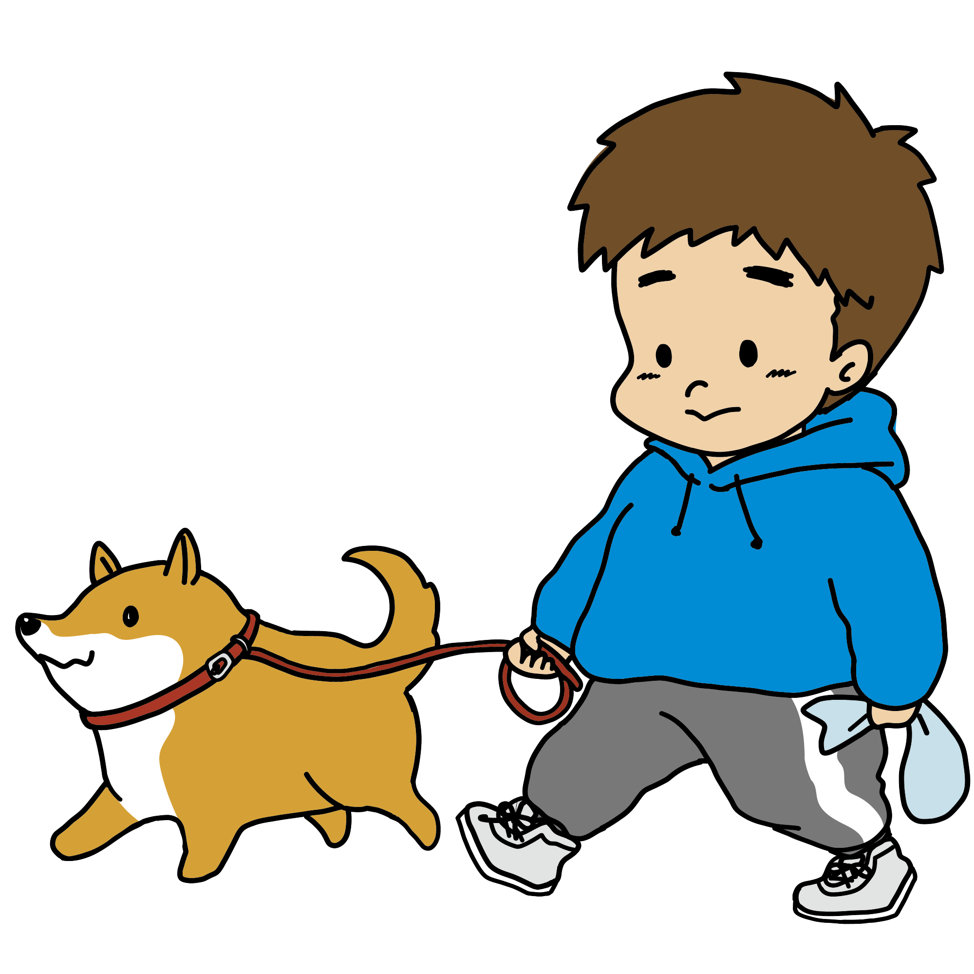 柴犬を連れて元気に散歩している男の子のイラスト